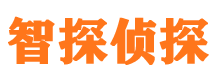 叙永侦探公司